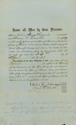 Chavouis Freier Neger Bond